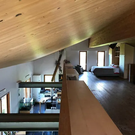 Casalia Tconzero *